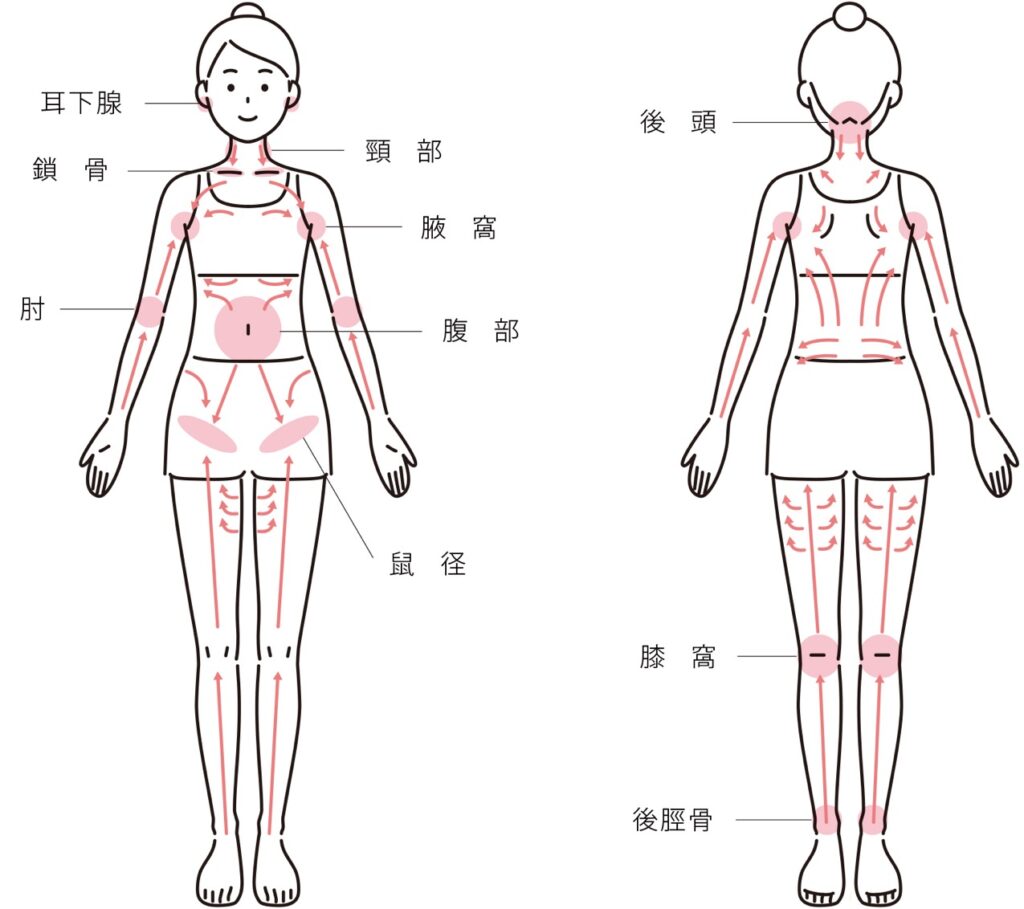 リンパの流れのイラスト図